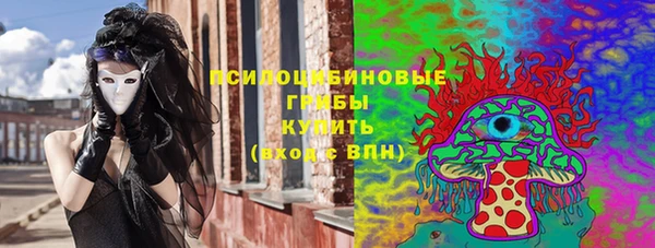 PSILOCYBIN Лихославль