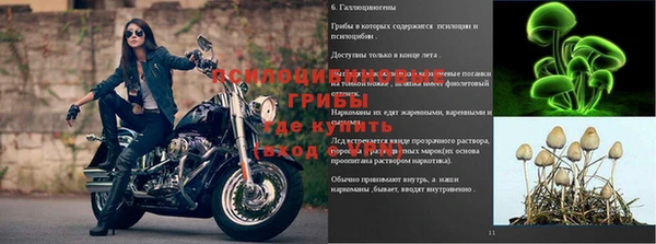 МДПВ Лагань